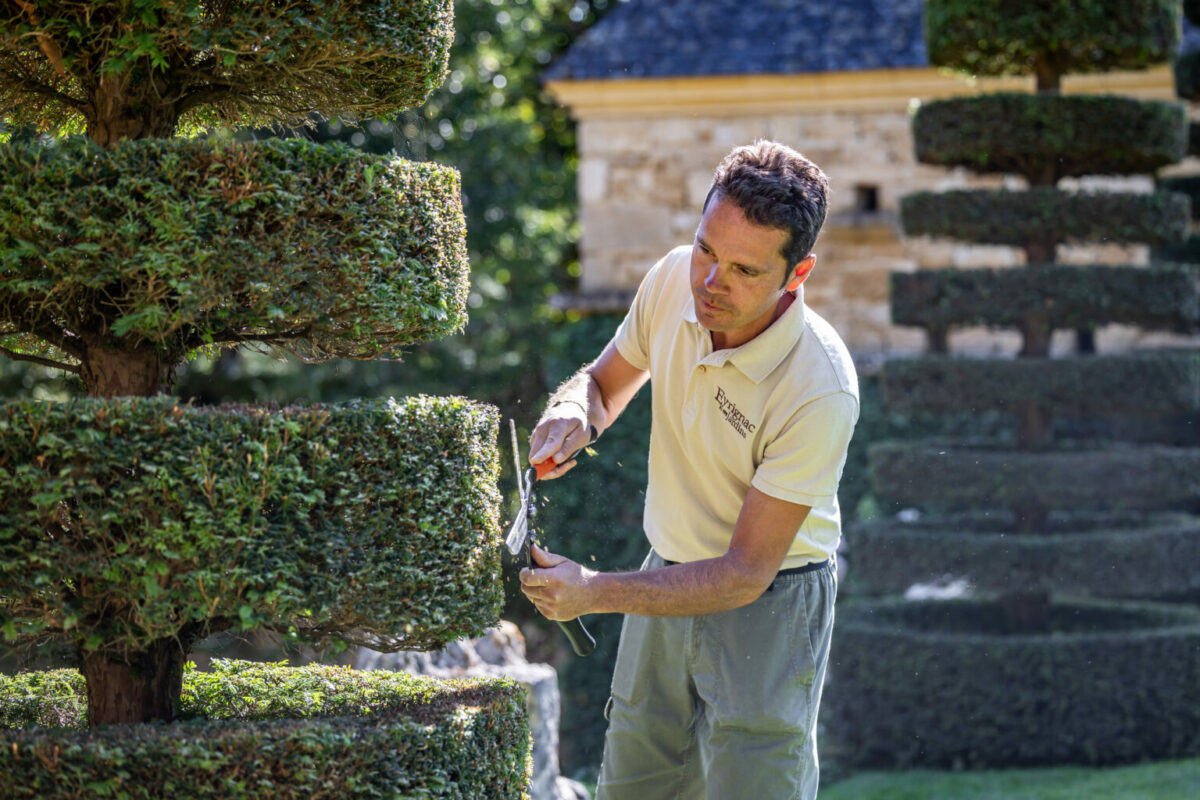 Jardins du Manoir d'Eyrignac - Portraits Démonstration de taille de topiaire à Eyrignac par le chef jardinier - ifs en plateaux
