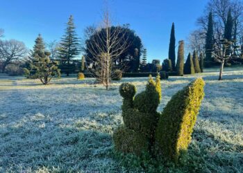 Topiaire écureuil en hiver à Eyrignac