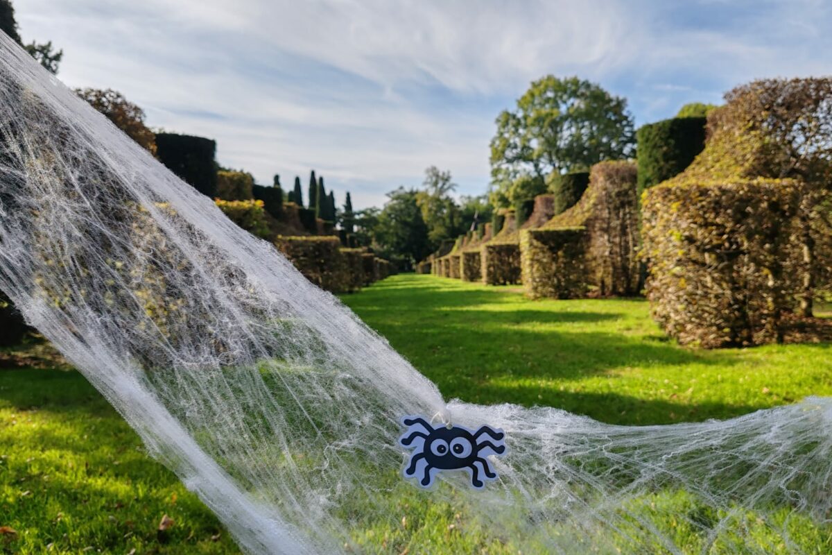 Eyrignac_allee_des_charmes_halloween-2