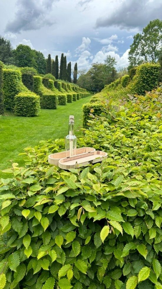 La bouteille «message in the bottle» envoyée de jardins en jardins pour la participation à l’événement de #worldtopiaryday à l'initiative de @ebtsfrance et @levenshall est bien arrivée à Eyrignac en un seul morceau. ✨

Patrick Sermadiras, le propriétaire des jardins, l’a trouvée dans l’allée des charmes. Elle est désormais entre ses mains et partira bientôt en direction de l’Angleterre ! 🇬🇧

#ebtsfrance #levenshall #worldtopiaryday2024 #topiary #eyrignac #topiaire